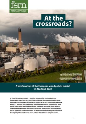 At the crossroads? A brief analysis of the European wood pellets market in 2022 and 2023