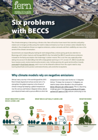 Six problems with BECCS